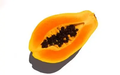 Los Gatos Pueden Comer Papaya: ¿Si o No?