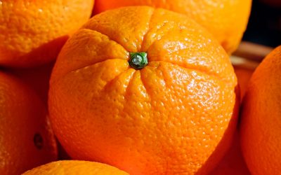 Los Perros Pueden Comer Naranja: ¿Si o No?