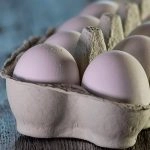 Los Gatos Pueden Comer Huevo: ¿Es Bueno?