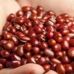 Can Dogs Eat Beans: Is It Safe?